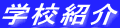 wZЉ